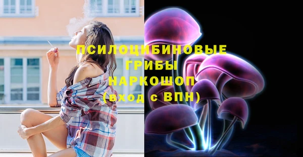 стафф Нефтегорск