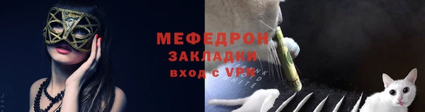 сатива Беломорск