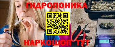 бошки Бийск