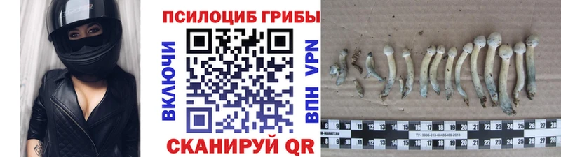 Псилоцибиновые грибы мицелий  купить наркоту  Воронеж 