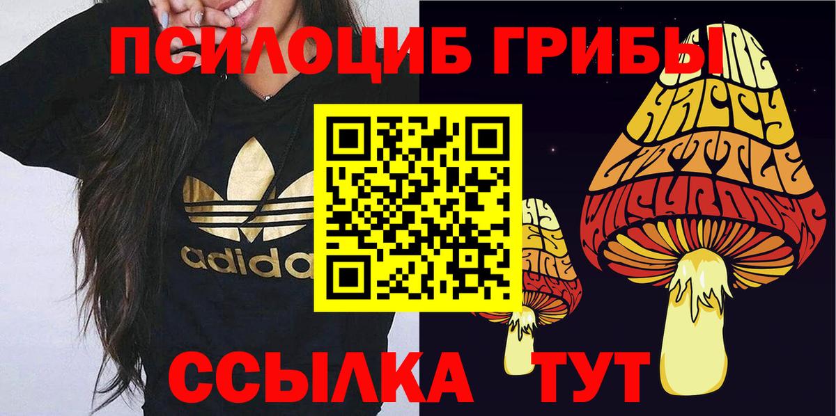 как найти наркотики  Воронеж  Галлюциногенные грибы Psilocybine cubensis 
