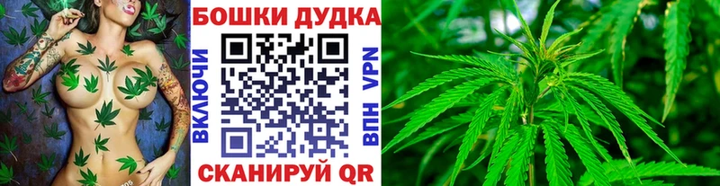 Бошки марихуана Amnesia  продажа наркотиков  Воронеж 